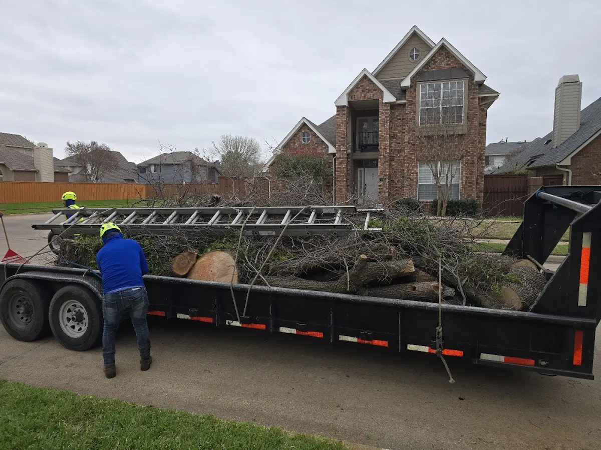 Expert Tree Removal with proper safety equipment in Millersburg